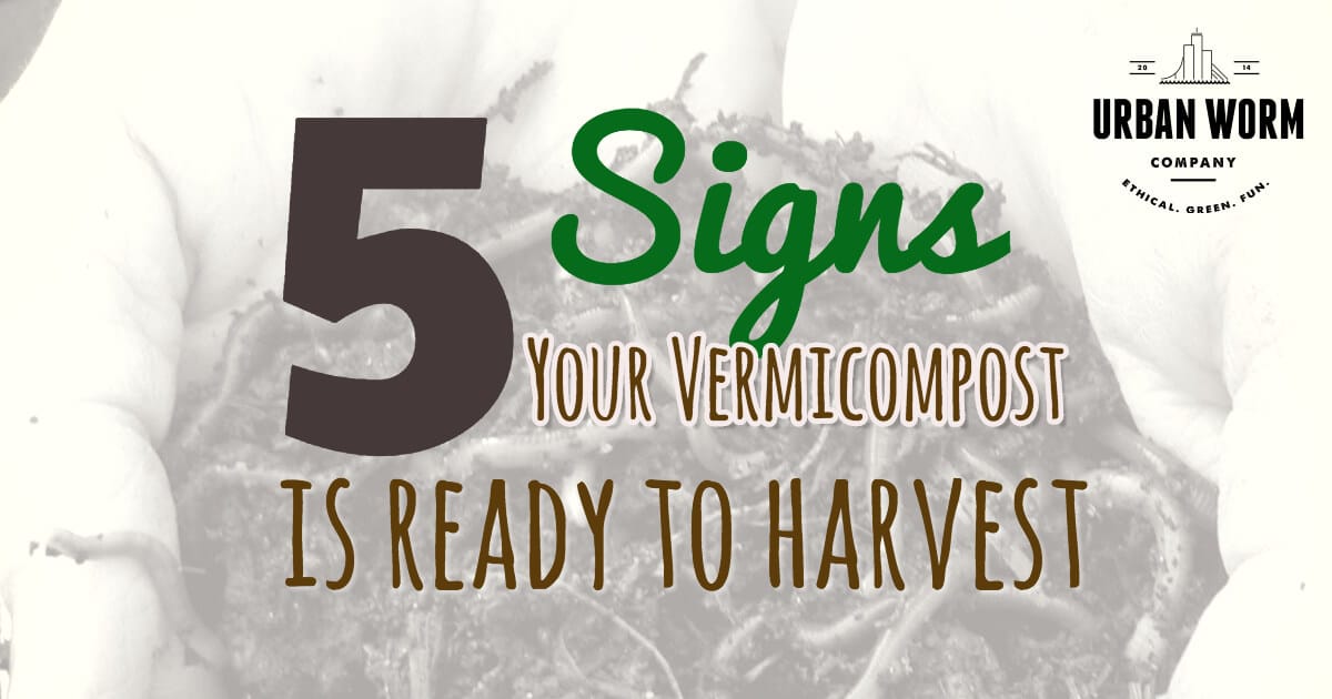 how-to-identify-finished-vermicompost