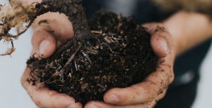 yard waste compost