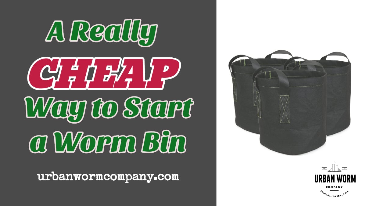 Cheap Way to Start Worm Bin Featured Image