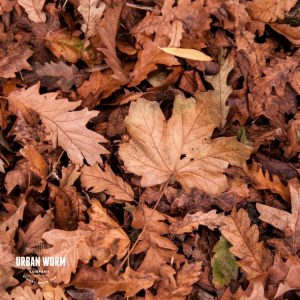 Yard waste for worm bedding