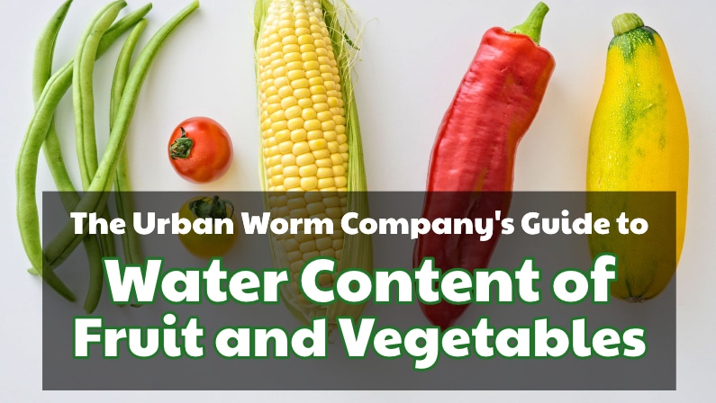 water content of fruit and vegetables iamge