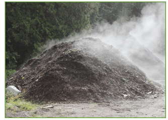 compost-pile-steaming