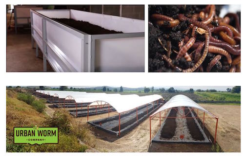 Start Worm Farm Business Combo Image