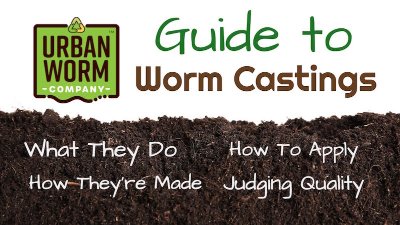 Guide to Worm Castings Featured Image