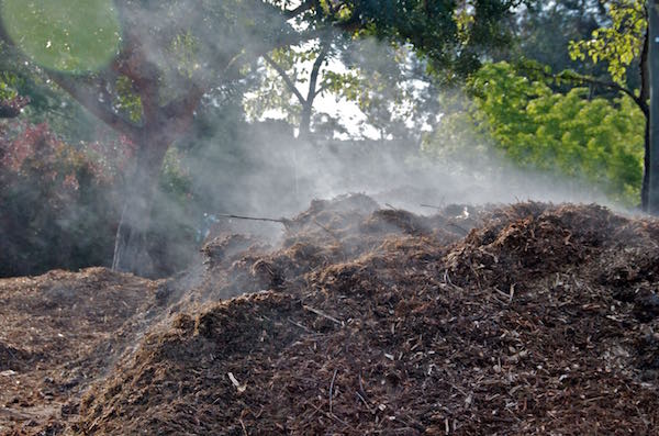 Steaming-hot-compost-pile