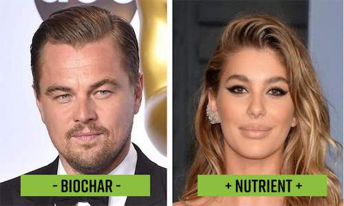 Leo Dicaprio-girlfriend-biochar-cation-exchange