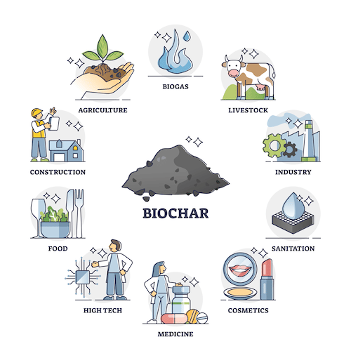 Biochar infographic