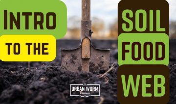 Intro to Soil Food Web Featured Image