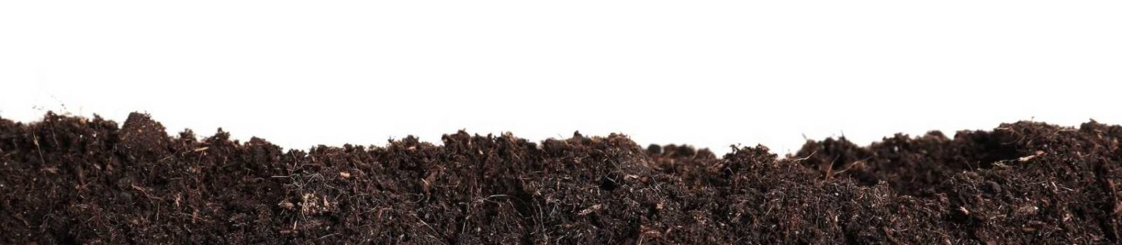 Soil Biology Category Image