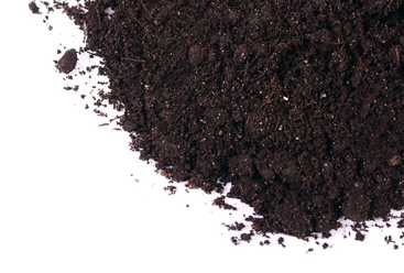 Worm Castings Image for Home Page